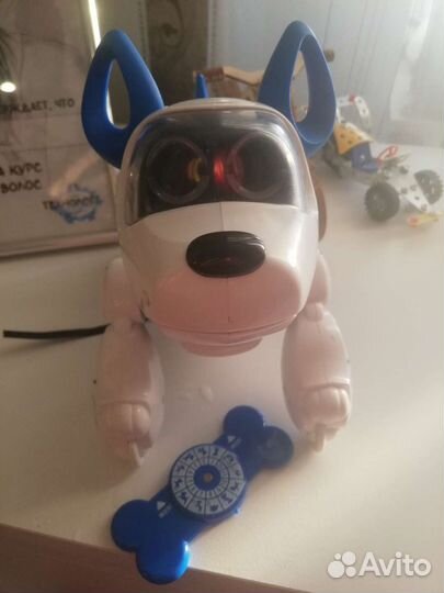 Собака и робот