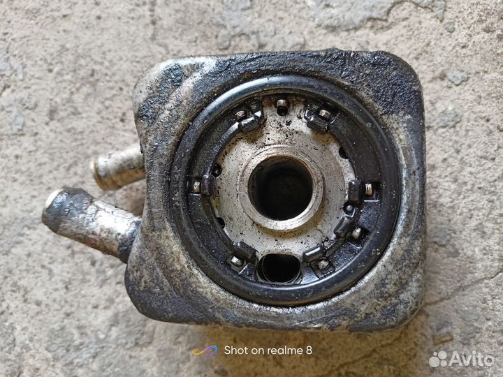 Радиатор масляный volkswagen passat b6