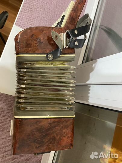 Аккордеон Малыш