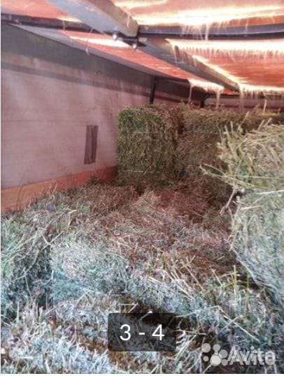 Разнотравье