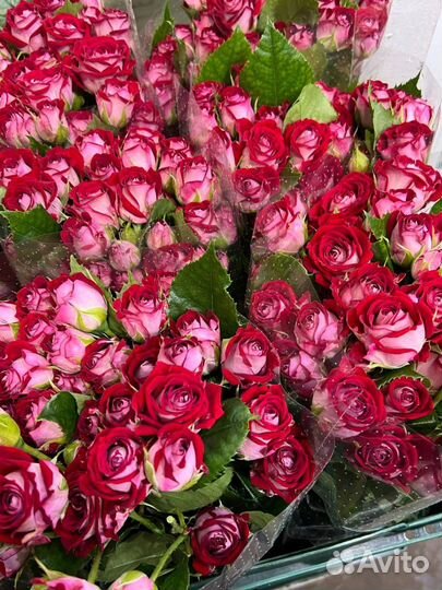 Доставка цветов / Букет из роз