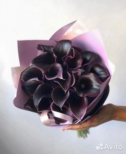 Букет из 19 черных калл