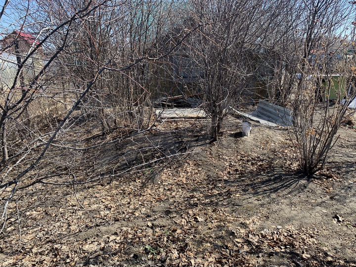 Дача 30 м² на участке 6 сот.