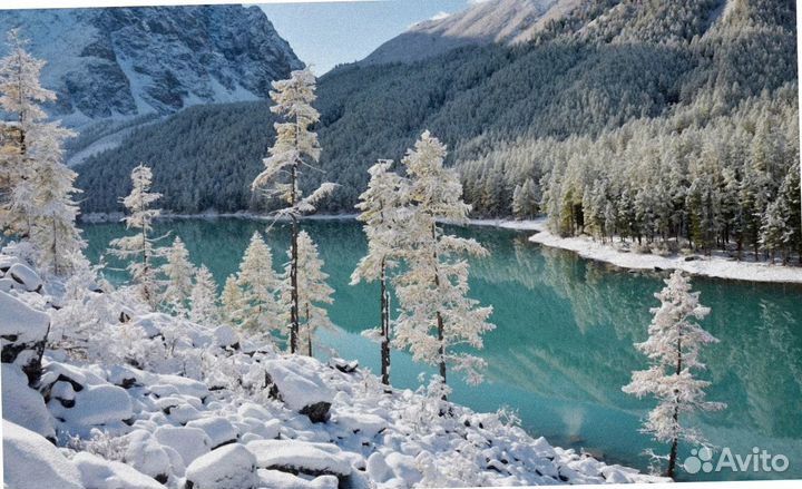 Турпоездка зимний Алтай экспедиции до 7 дней