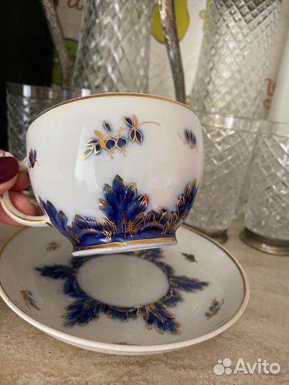 Синий барбарис