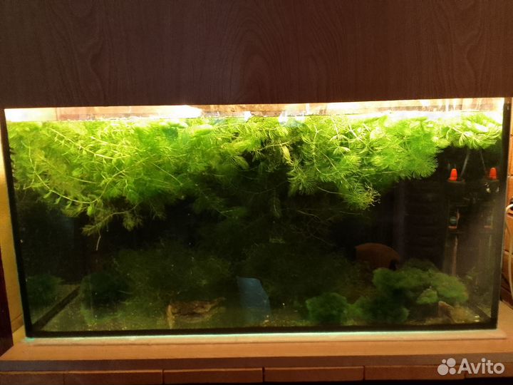 Стеллаж для аквариумов