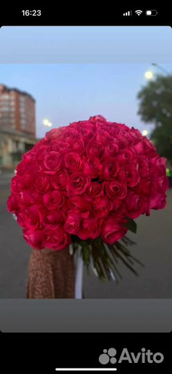 Живые цветы букеты
