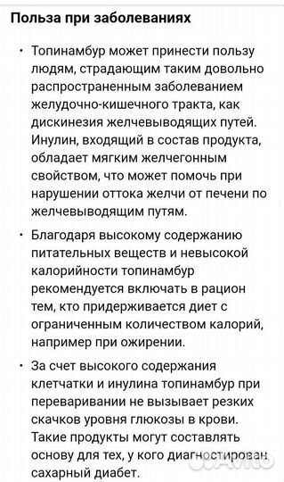 Клубни топинамбура рассада цветов