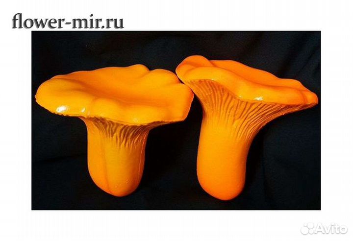 Грибы лисички из цемента