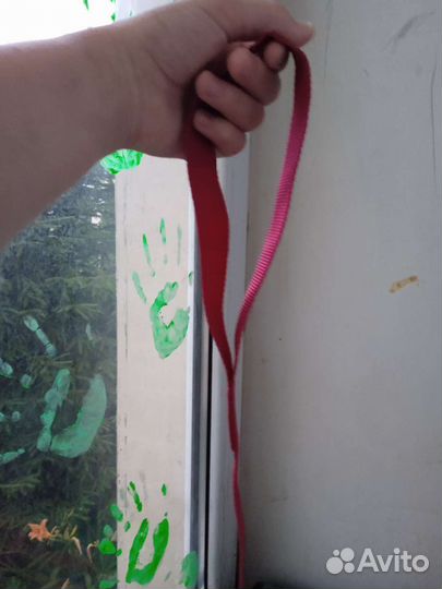 Поводок для собак