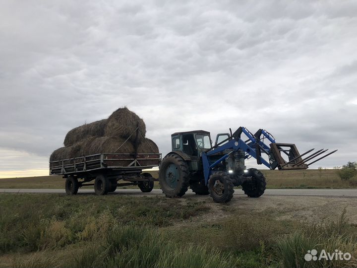 Продам сено в рулонах свежий укос