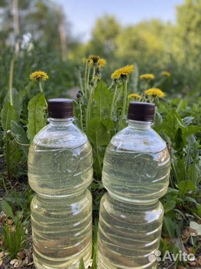 Жилкое мыло в розлив 1 л