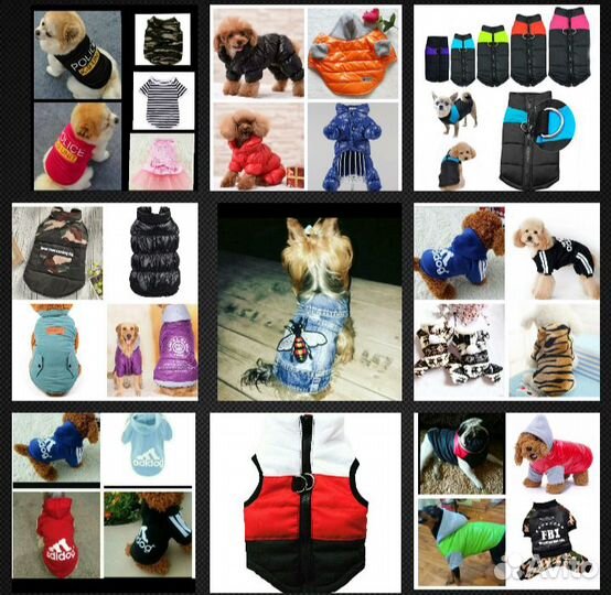 Одежда для собак