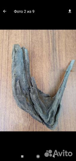 Дрифтвуд, коряги