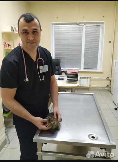 Ветеринарный врач, акушер, ратолог, орнитолог