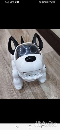 Собака-робот Pupbo