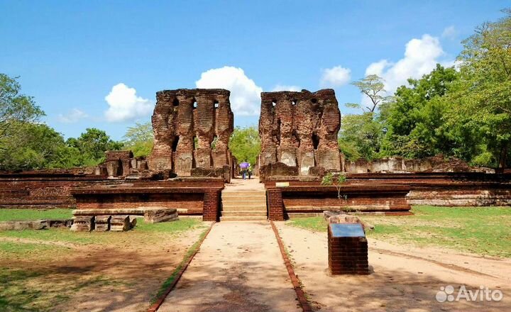 Путешествие на Шри-Ланку 6 нч завтраки