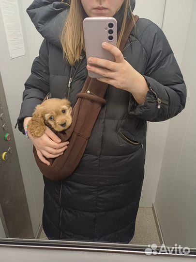 Сумка-переноска для щенков и маленьких собак