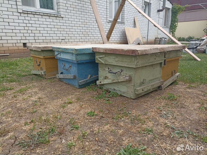 Улей для пчел бу