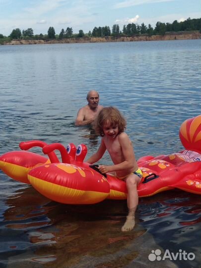 Надувной матрас Рак, игрушка для плавания