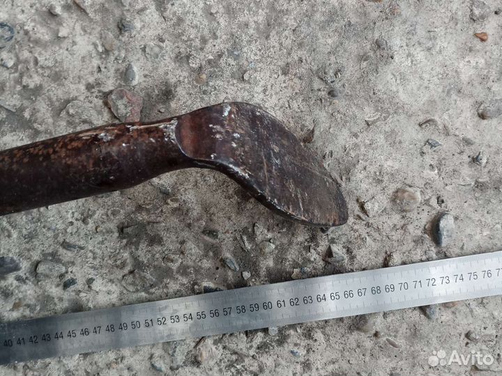 Лапка сапожника