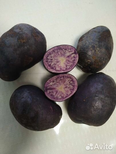 Картофель фиолетовый