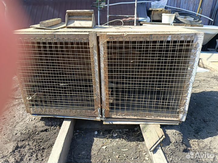 Клетка для цыплят и курей