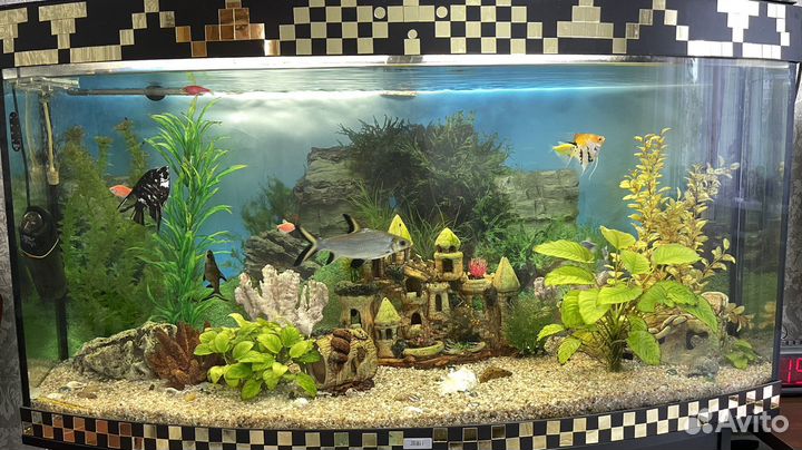 Аквариум с тумбой 280л