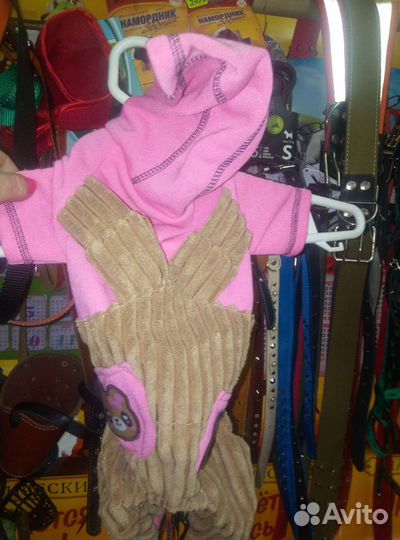 Одежда для собак