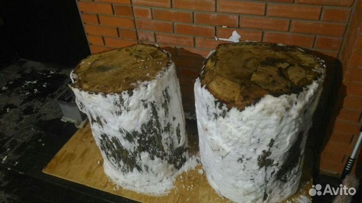 Пеньки дубовые