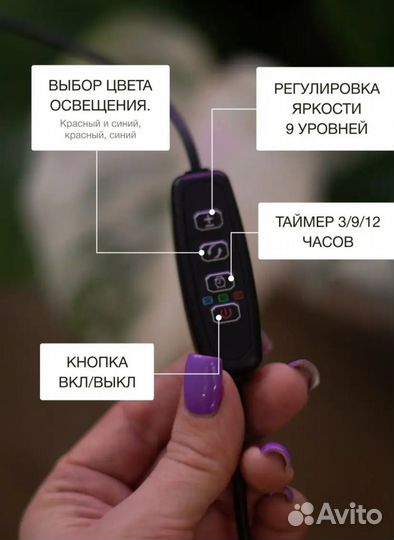 Фитолампа для растений