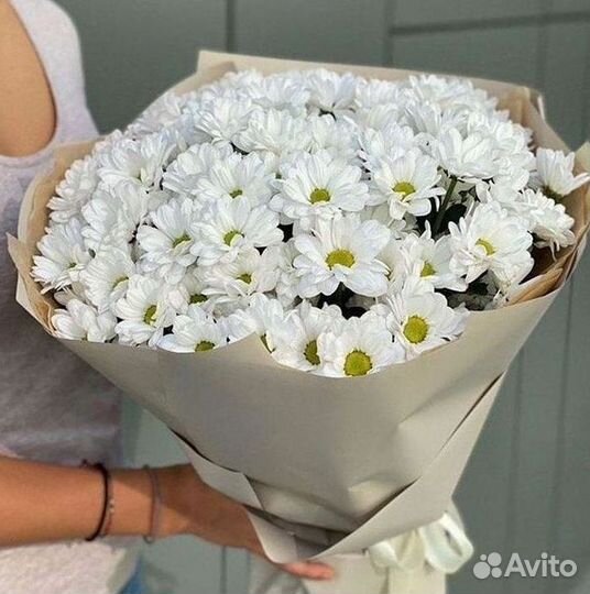 Хризантема. Букеты Цветы доставка