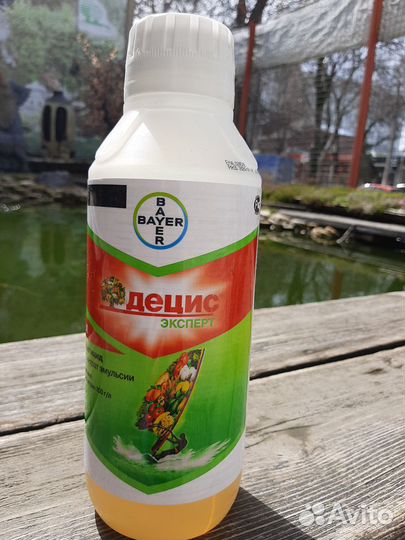 Децис Эксперт