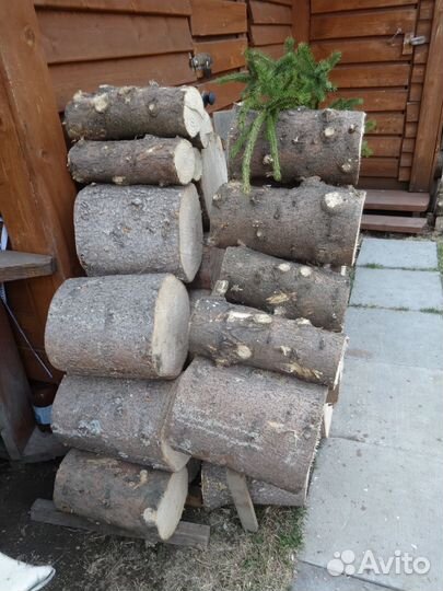 Пеньки (чурки) сосновые