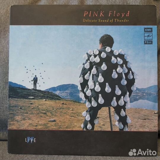 Pink Floyd - Delicate Sound Of Tunder 2 LP