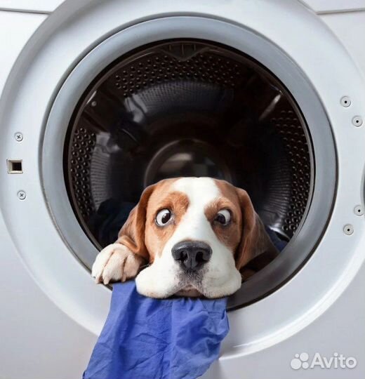 Ремонт бытовой и цифровой техники на дому