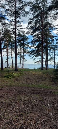 Участок 30,5 га (СНТ, ДНП)