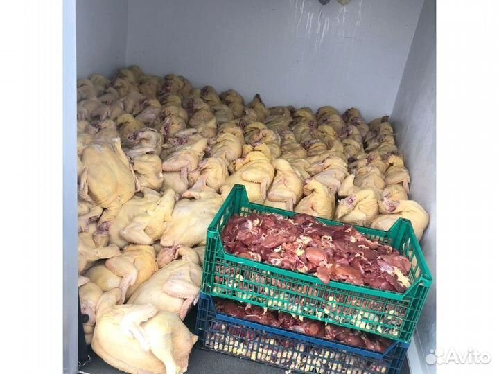 Куры бройлеры мясо