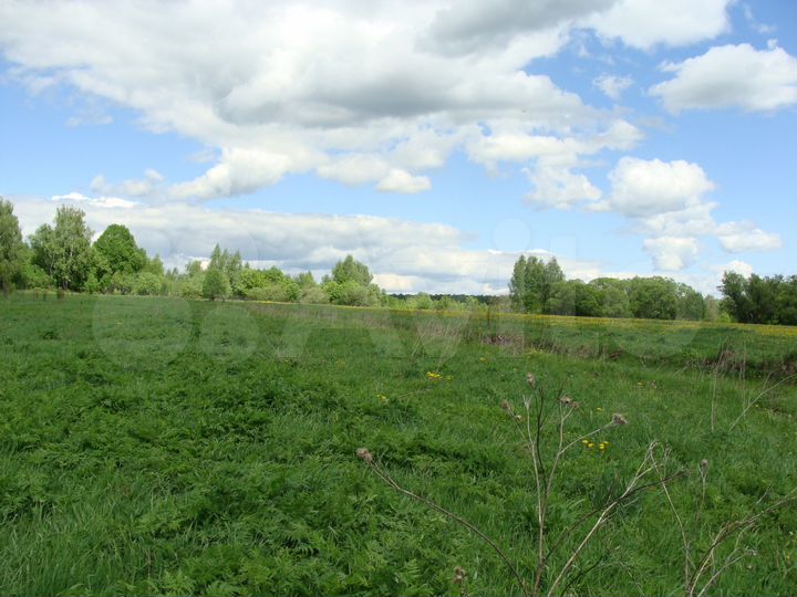 Участок 1,6 га (ИЖС)