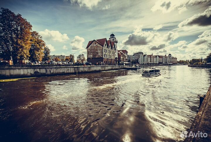 Вечерний Калининград экскурсия