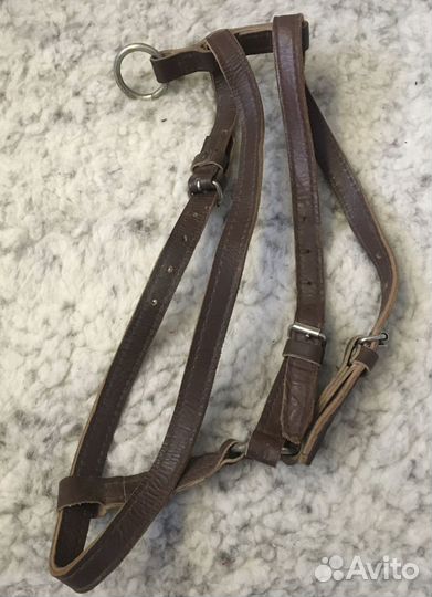 Шлея для собак