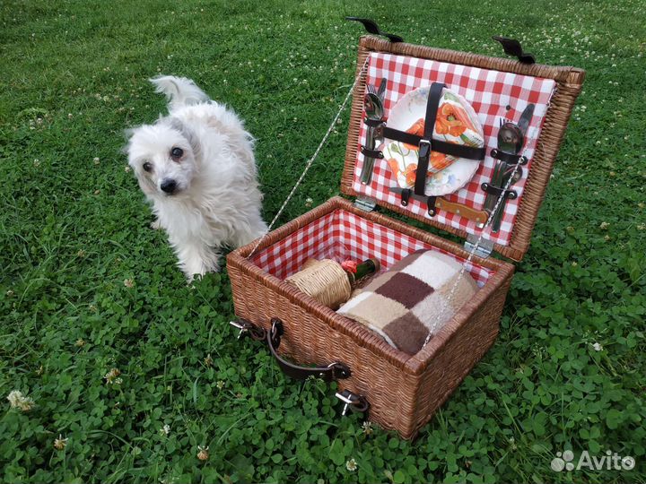 Чемодан для пикника