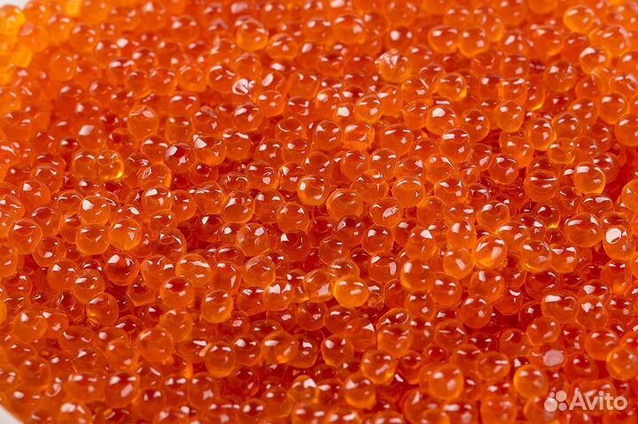 Икра красная форель, горбуша, кета, нерка