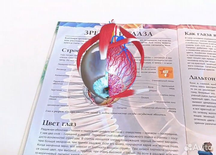 Энциклопедия с дополненной реальностью 4d