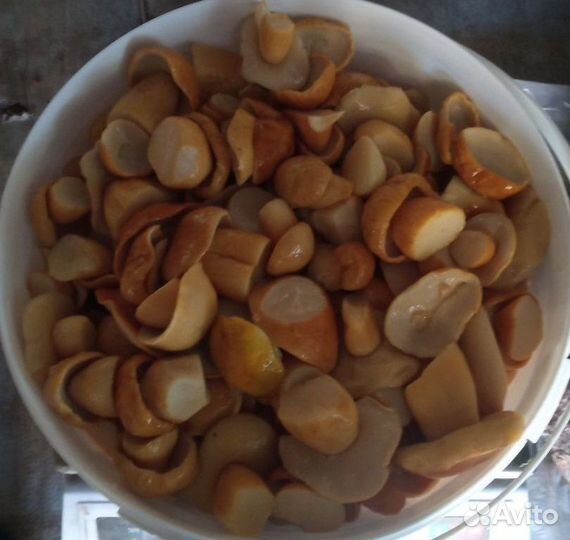 Белый гриб солёный в рестораны круглый год