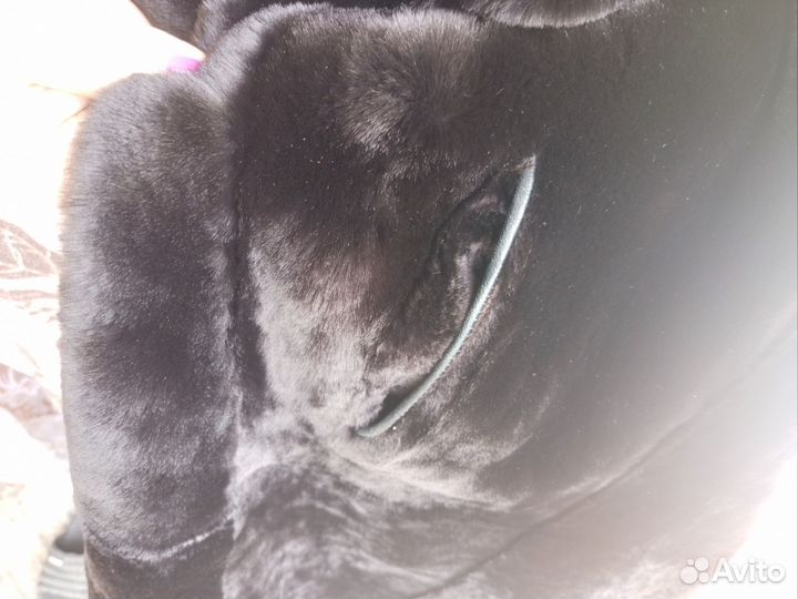 Шуба мутоновая(плюшевая)