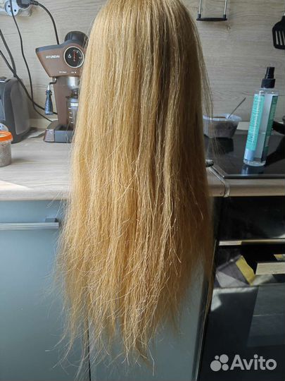 Голова учебная