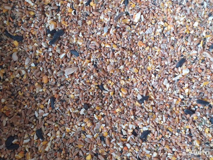 Дробленая полнорационная зерносмесь