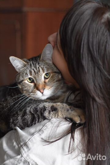 Пуфель сладкий пирожок