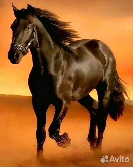 Сборка картин алмазной мозайки